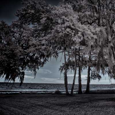 Infrared_Green Cove in Infrared_Original