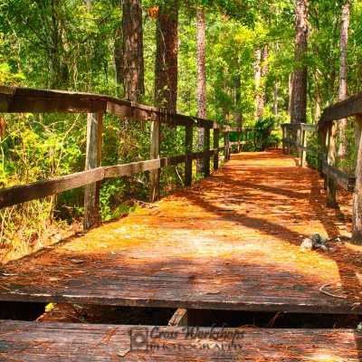 HDR_Broken Path_Original